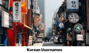 Korean Usernames: 284 Cute Usernames Ideas For。